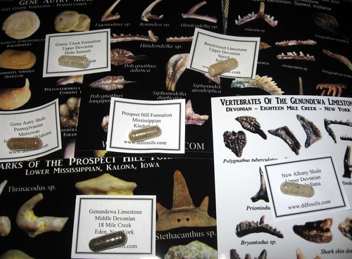 Devonian pennsylvanian - to,