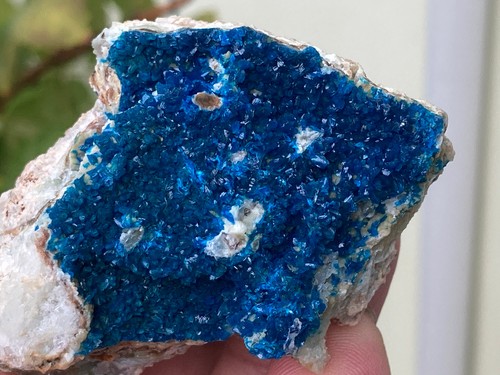 Veszelyite blu rara su - blu, cm