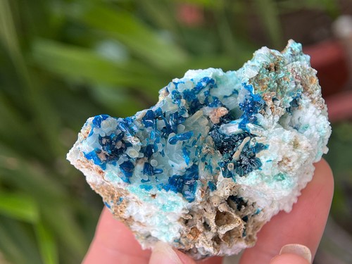 Veszelyite blu su matrice - cm,
